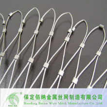 Rede inoxidável de aço inoxidável de malha / furrule tipo rede (fabricado na China)